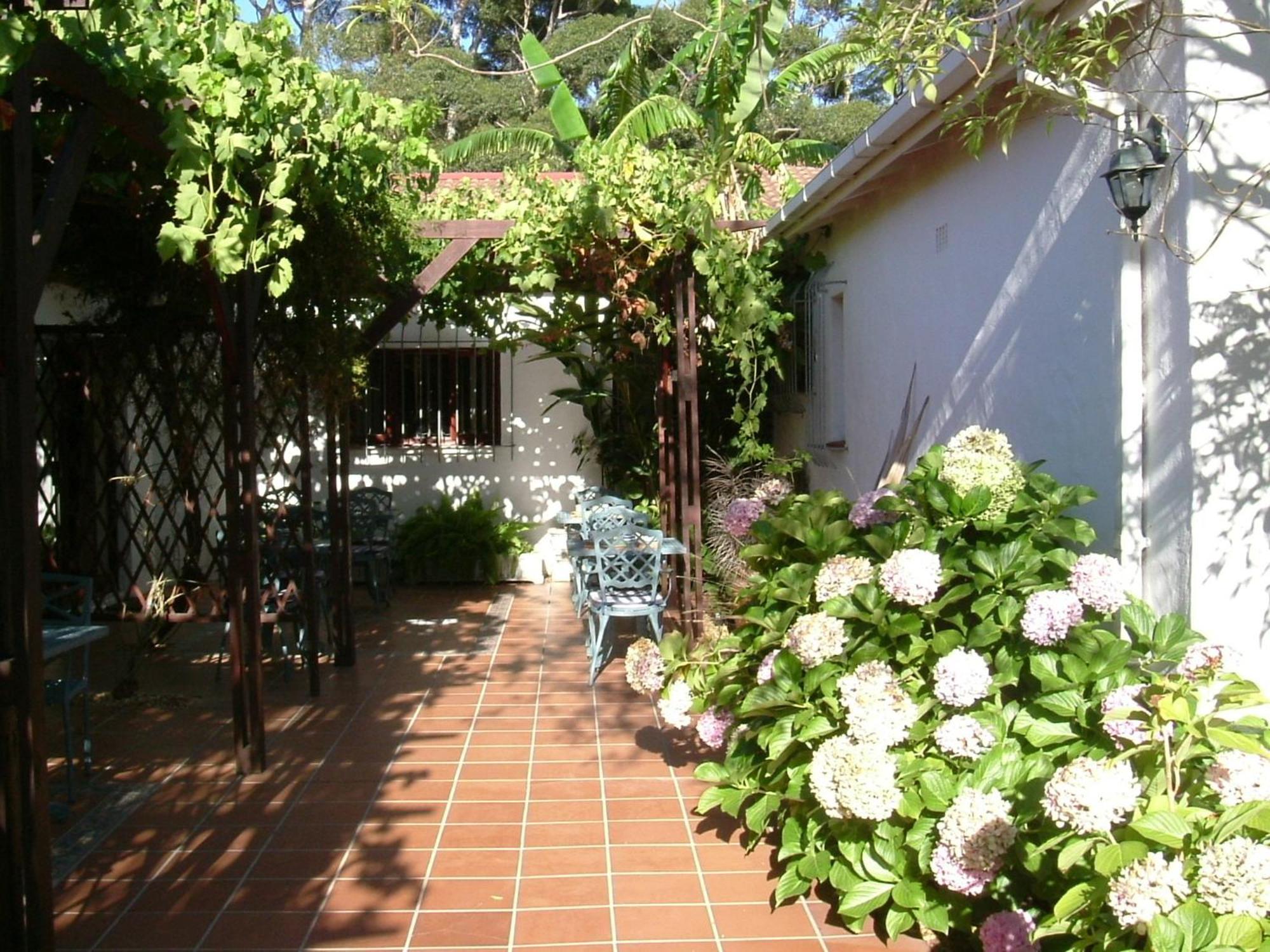 Vine Guesthouse Stellenbosch Extérieur photo